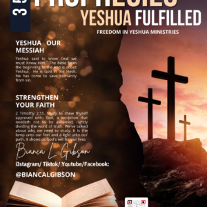 351 Prophecies Fulfilled By Yeshua